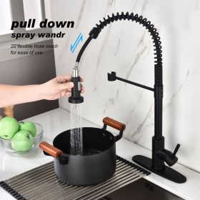 Kitchen Faucet with Pull Out Sprayer