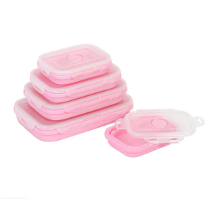 Reusable Pizza Storage Container with Microwavable Serving Trays - Adjustable Pizza Slice Container to Organize & Save Space - 550ML
