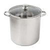 Stainless Steel 16-Quart Stock Pot with Glass Lid, Induction Compatible, Stainless Steel, Dishwasher Safe - Silvery
